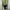 Vintage Y2K Formal shirt Pria red photo 2