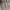 Nike Streetwear Sportswear Hoody Pria Gray