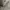 Nike Streetwear Sportswear Sweater Pria gray photo 2