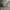 Nike Streetwear Sportswear Sweater Pria Gray
