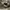 Nike Streetwear Sportswear Sweatpants & Joggers Pria gray photo 3