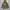 Avirex Grunge Goth Parka Pria green orange photo 2