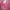 Casual Hoody Wanita pink photo 3