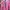 Casual Hoody Wanita Pink