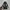Adidas Casual Sneakers Pria white black photo 2