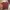 Avirex Streetwear Casual T-shirt Pria burgundy photo 1