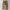 Levi's Streetwear Y2K Casual pants Pria brown photo 5