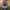 Beanpole Streetwear Casual Hat Wanita blue photo 3