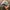 Beanpole Streetwear Casual Hat Wanita blue photo 4