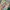 United Colors of Benetton Luxury Coquette Casual trouser Wanita multicolor photo 6