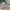 United Colors of Benetton Luxury Coquette Casual trouser Wanita multicolor photo 3