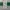 United Colors of Benetton Luxury Coquette Casual trouser Wanita multicolor photo 1