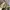 Converse Streetwear Y2K Sneakers Pria white black photo 6