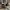 Converse Streetwear Y2K Sneakers Pria white black photo 1