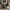 Converse Streetwear Y2K Sneakers Pria White Black