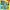 GAP Casual Sweater Wanita green photo 2