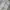 Neil Barrett Luxury Casual Casual pants Pria cream photo 3