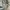 Neil Barrett Luxury Casual Casual pants Pria cream photo 5