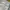 Neil Barrett Luxury Casual Casual pants Pria cream photo 7