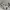 Neil Barrett Luxury Casual Casual pants Pria cream photo 4