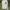 Acne Studios Luxury Hoody Pria cream photo 1