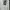 Acne Studios Luxury Hoody Pria cream photo 2