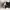 VANS Streetwear Skater Sneakers Pria white black photo 5