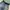 DogTown Y2K Skater Short Pria gray blue photo 2