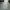 Von Dutch Minimalist Casual Short Wanita white photo 1