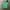 Polo Ralph Lauren Casual Polo shirt Pria green photo 2