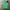 Polo Ralph Lauren Casual Polo Shirt Pria Green