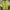 Casual Crop top Wanita blue yellow photo 1