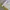 Lee Streetwear Casual Hoody Pria white photo 4