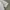 Kangol Streetwear Luxury Hoody Wanita white photo 7