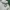 Kangol Streetwear Luxury Hoody Wanita white photo 3