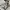 Japanese brand Vintage Y2K T-shirt Pria cream photo 3