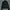 Lacoste Vintage Casual Bomber Jacket Pria Black
