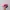 Billabong Streetwear Y2K Hat Wanita pink photo 3