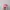 Billabong Streetwear Y2K Hat Wanita Pink