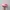 Billabong Streetwear Y2K Hat Wanita pink photo 2