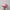 Billabong Streetwear Y2K Hat Wanita Pink