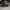 Converse Casual Sneakers Pria white black photo 1