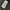Burberry Streetwear Luxury Parka Pria black photo 3