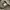 Ben Davis Streetwear Skater Hat Pria gray photo 3