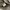 Ben Davis Streetwear Skater Hat Pria gray photo 4
