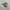 Ben Davis Streetwear Skater Hat Pria gray photo 2