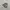 Ben Davis Streetwear Skater Hat Pria Gray