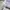Carhartt Streetwear Skater Hoody Pria gray photo 6