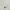 Von Dutch Luxury Casual Polo shirt Pria white photo 4