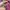 Y2K Puffer jacket Wanita pink photo 4